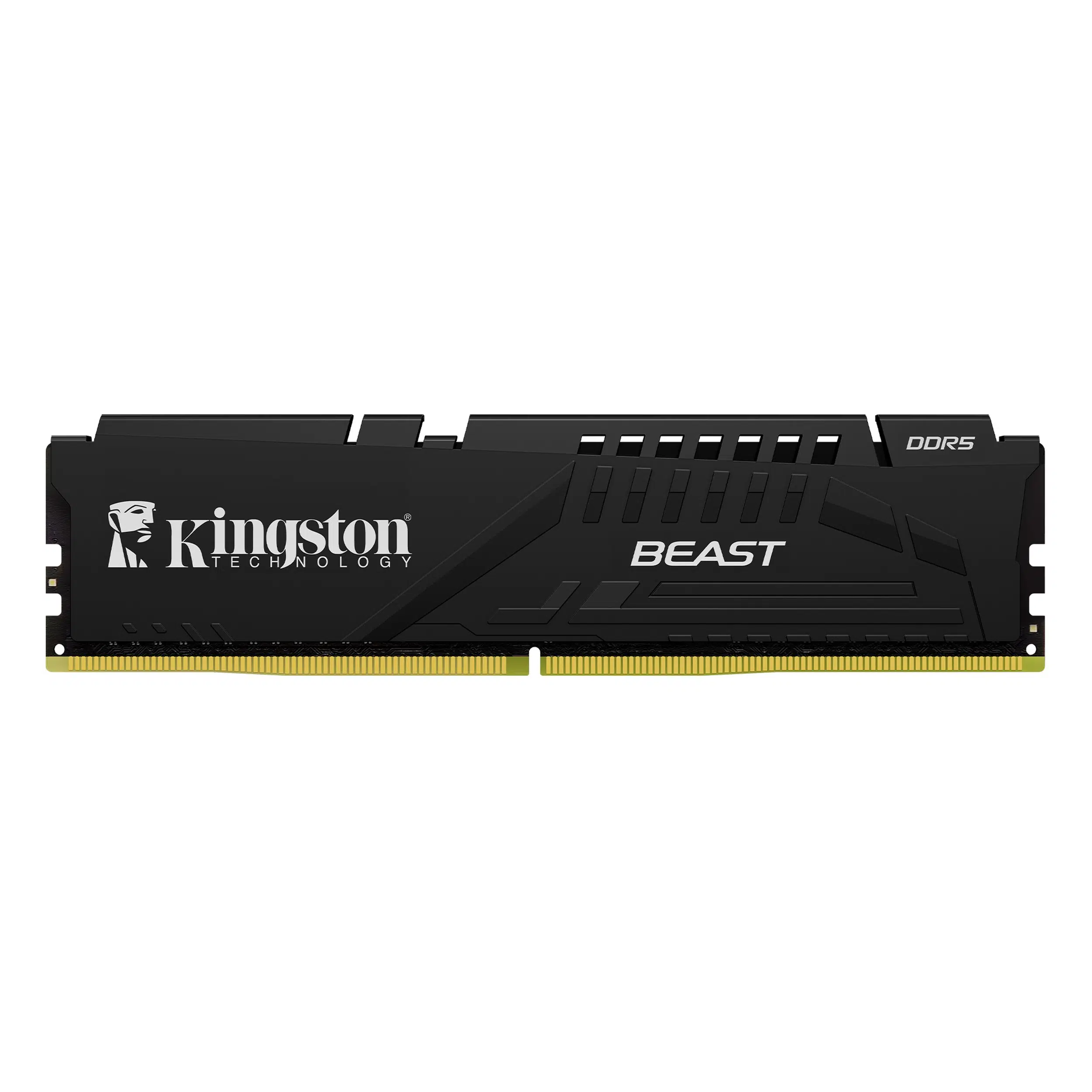 Kingston Beast 16GB DDR5 5600MHz CL36 KF556C36BBE-16TR