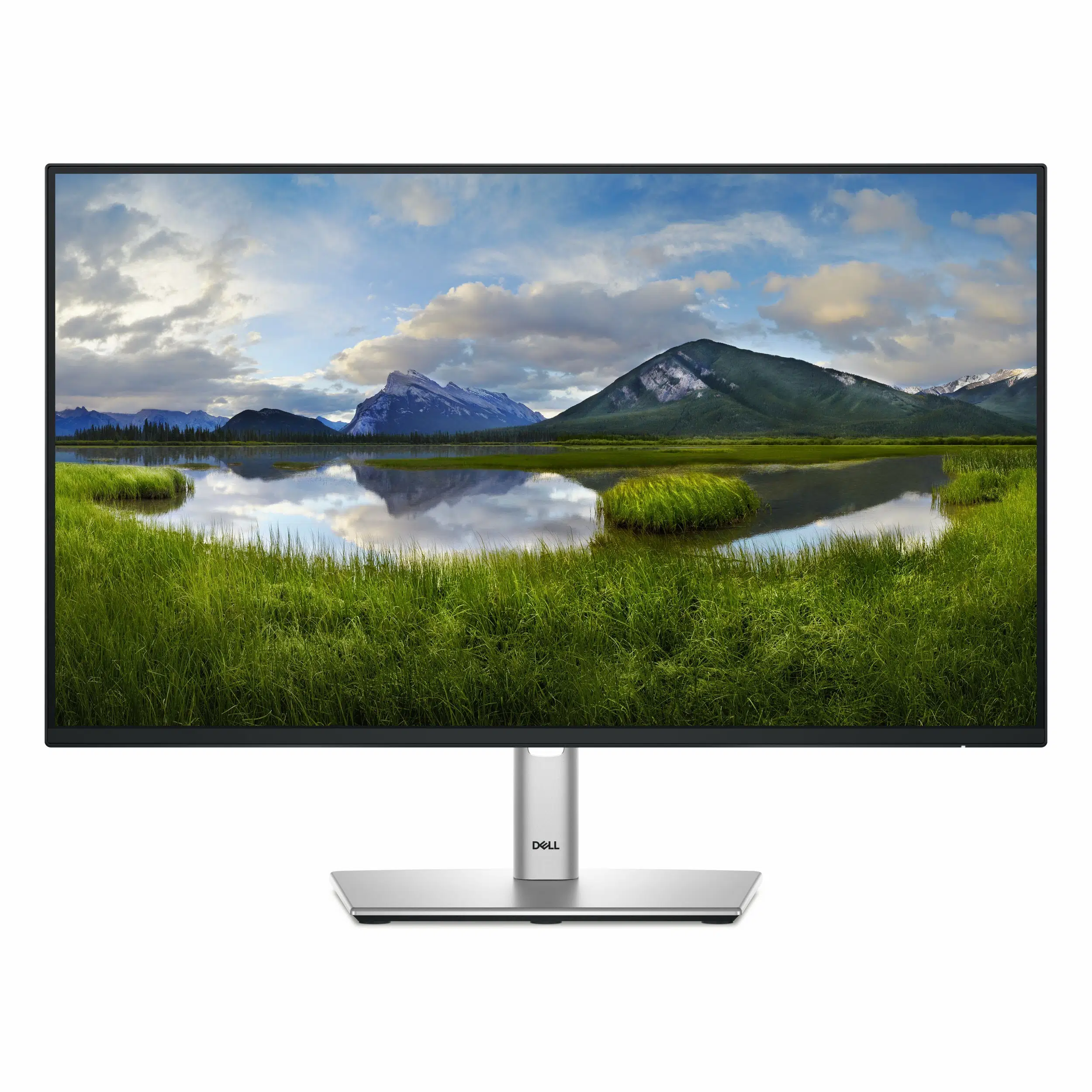 Dell P2425HE 23.8 100Hz 5ms IPS FHD
