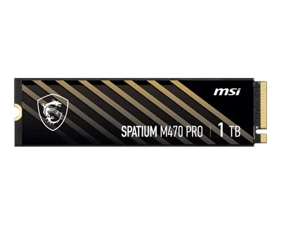 MSI SPATIUM M470 Pro 1TB 210281091