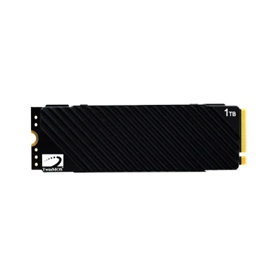 TwinMOS 1TB NV1TBG42280