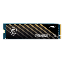 MSI SPATIUM M450 1TB