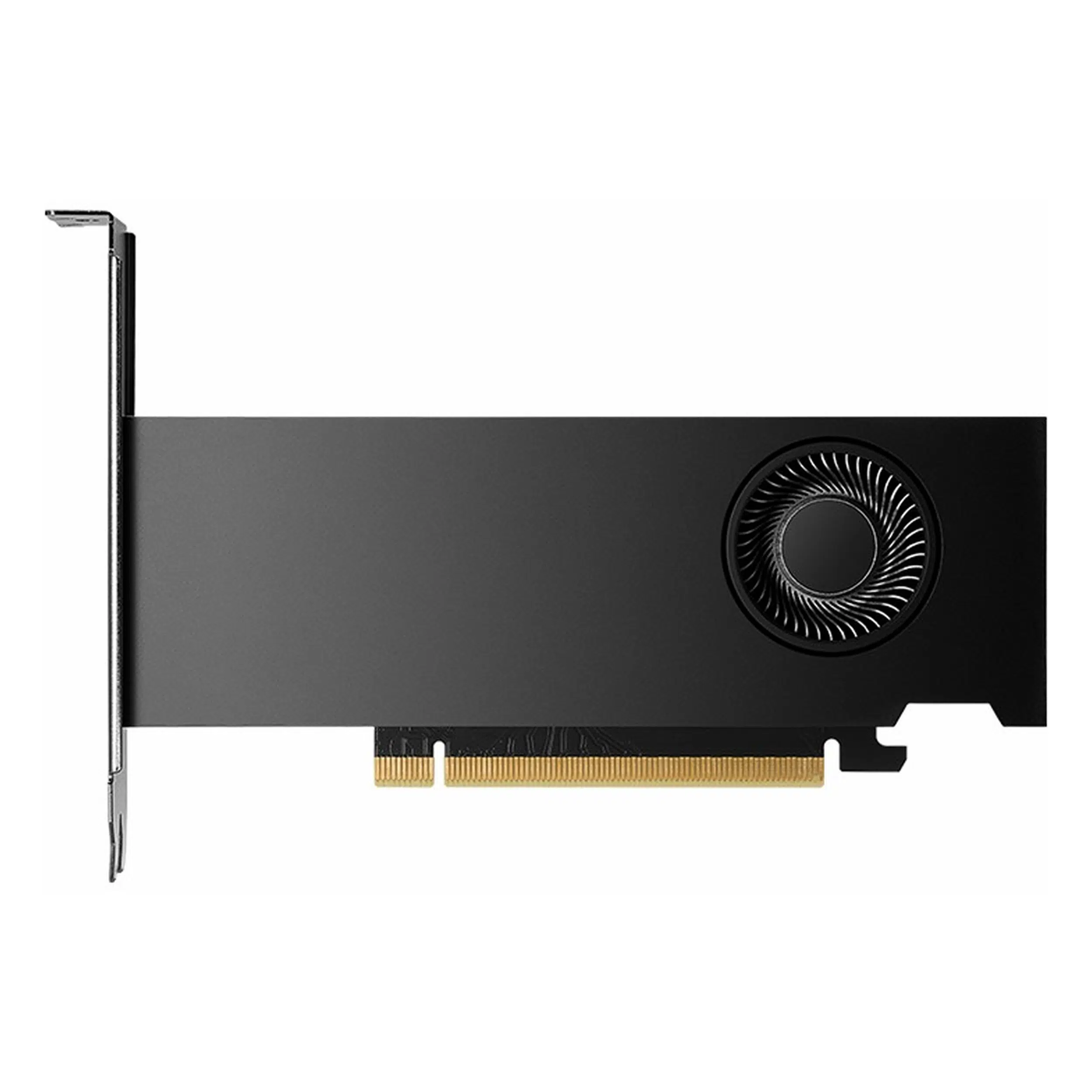 PNY RTX 2000 Ada VCNRTX2000ADA-SB 16GB